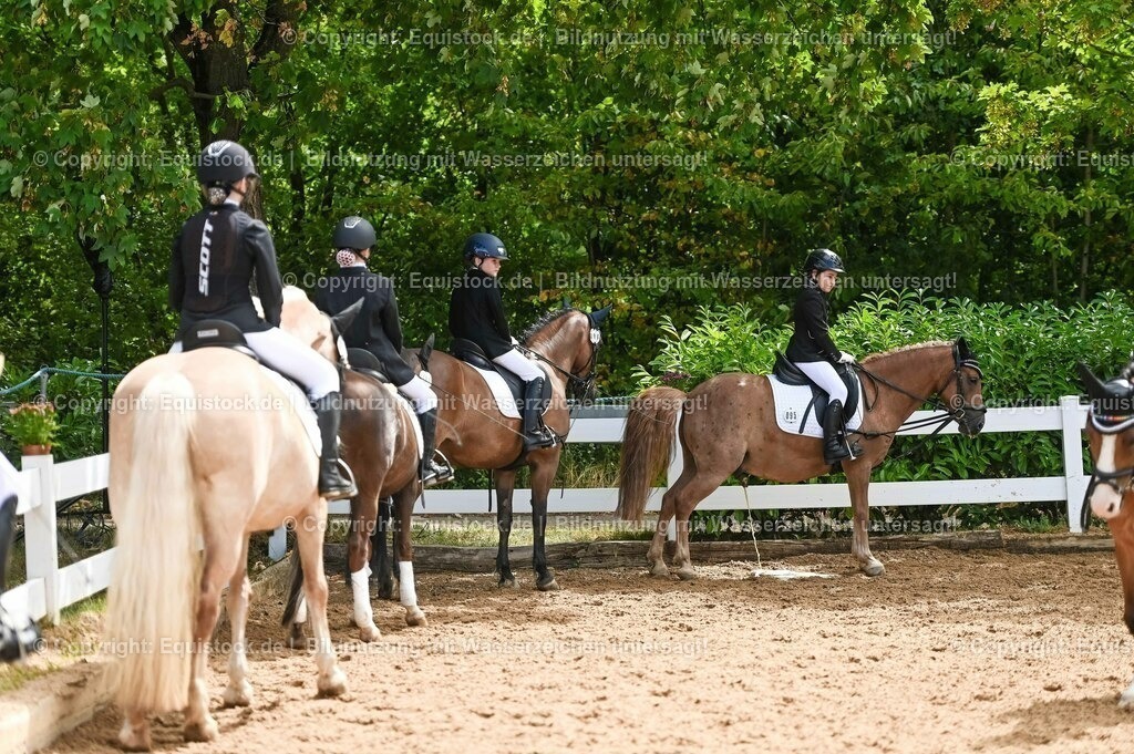 20230716_10-3_Reiter-WB Schritt - Trab - Galopp_0137 | equistock