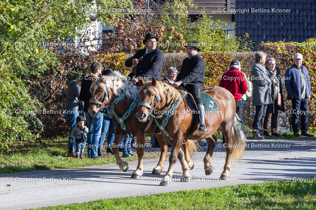 LBT24-769 | foto-bettina-krinner - Realisiert mit Pictrs.com