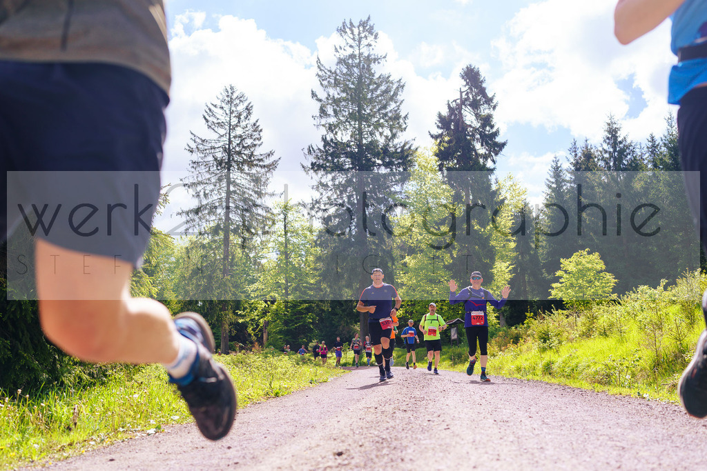 Rennsteiglauf Marathon 2025 | Marathon von Neuhaus/Rwg. nach Schmiedefeld/Rstg. am 17. Mai 2025