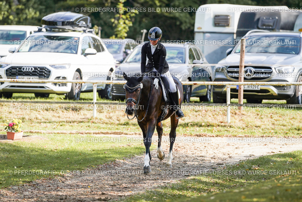 DSC08093 | Pferdegrafie