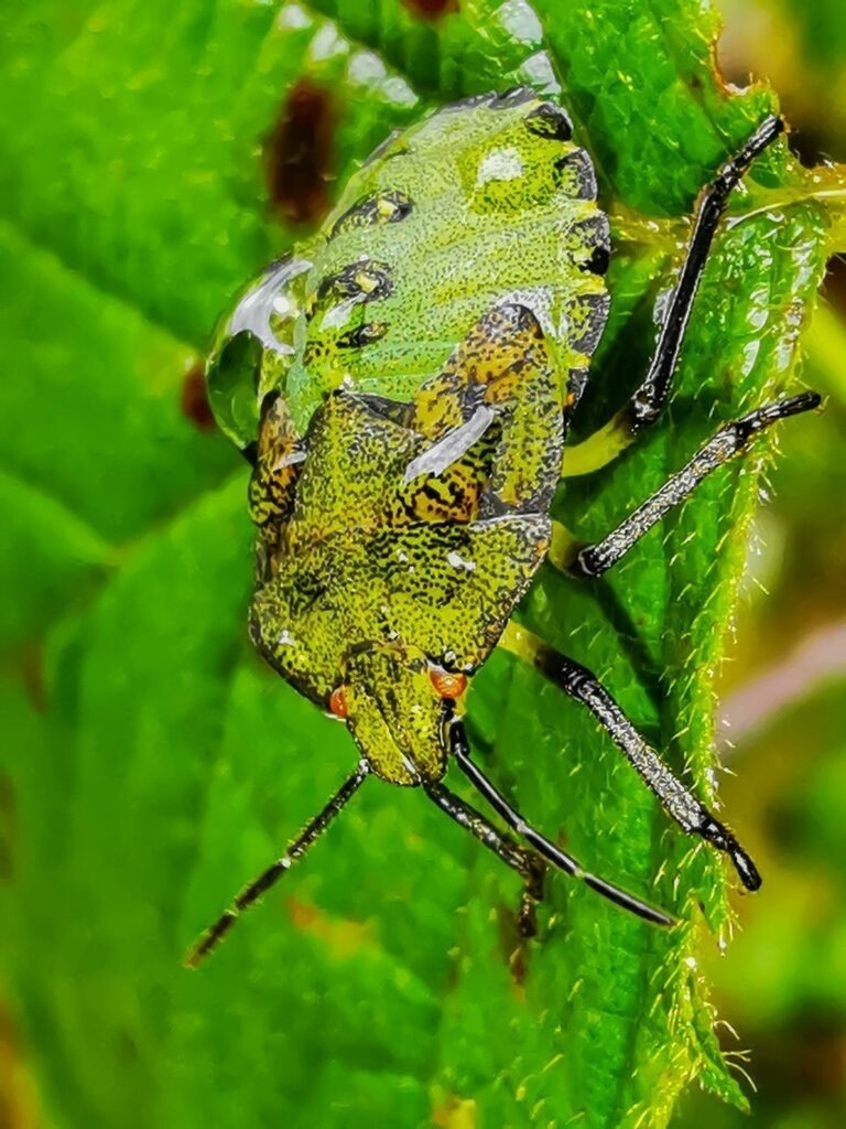 PSX_20220926_122854 | mtkfoto_ - Realisiert mit Pictrs.com