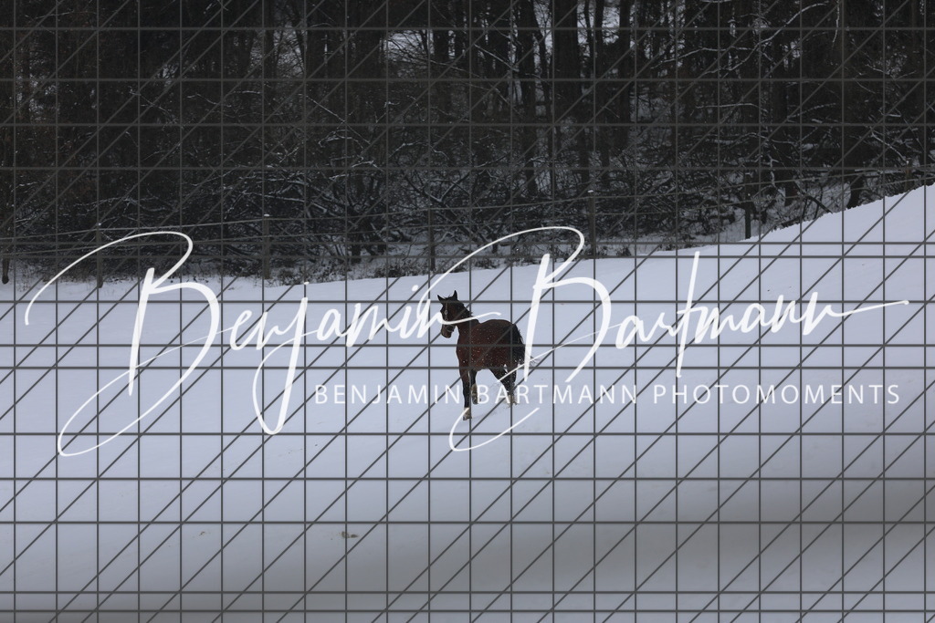 AZ2A3430 | Benjamin Bartmann Photomoments