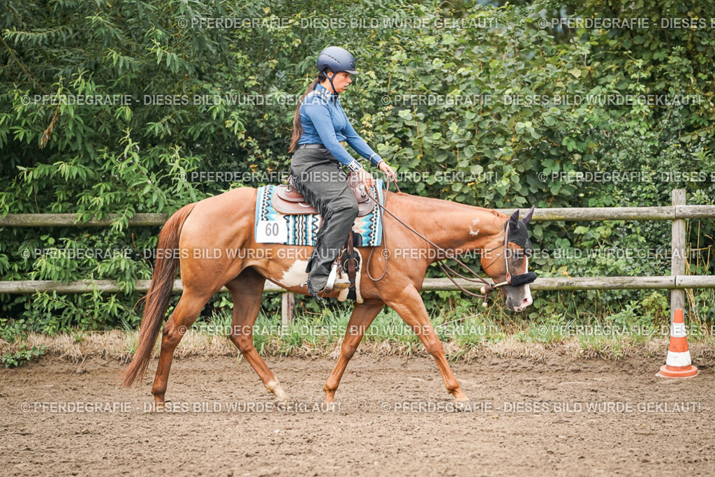 DSC02335 | Pferdegrafie