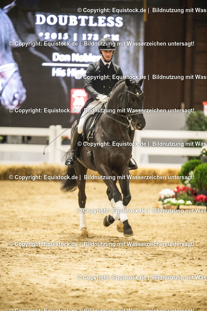 20240302_Hengstvorstellung_Marbach_TOMsPiC_1531 | equistock