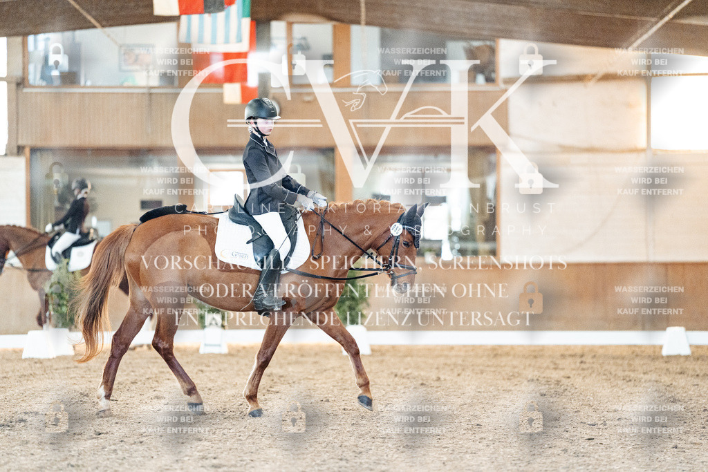 CK906575 | Turnierfotografie Pferdefotografie Trier Rheinland-Pfalz Pferdesport Reitsport Tierfotografie Sportfotografie Pferdevideo Pferdevideografie Equestrianvideography equestrianphotography  - Realisiert mit Pictrs.com