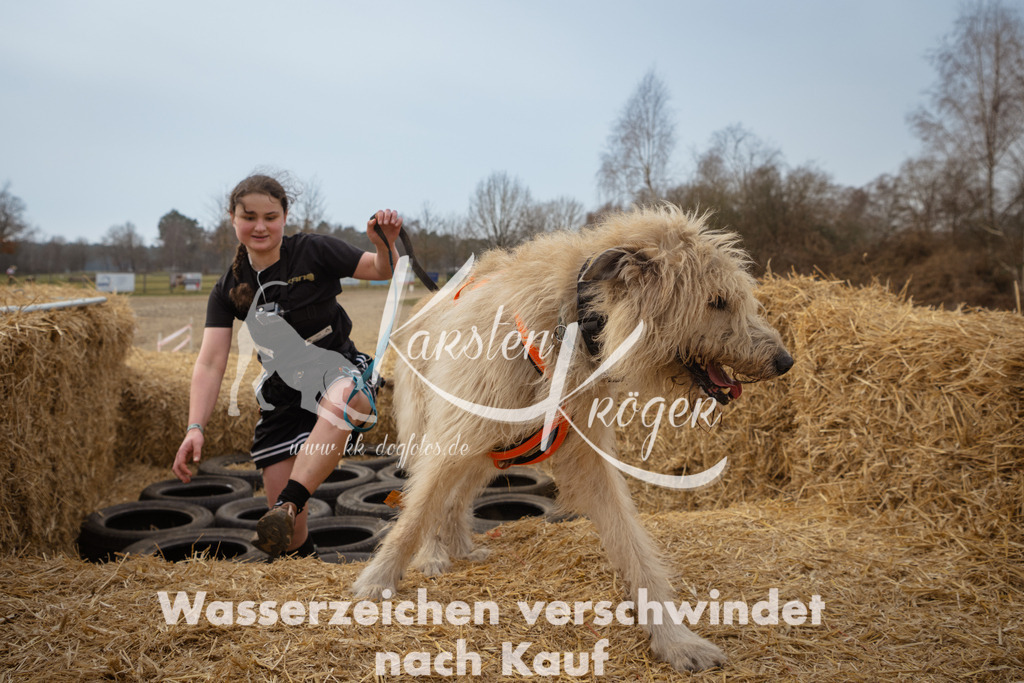 1157_ZZ95639 | kk-dogfotos