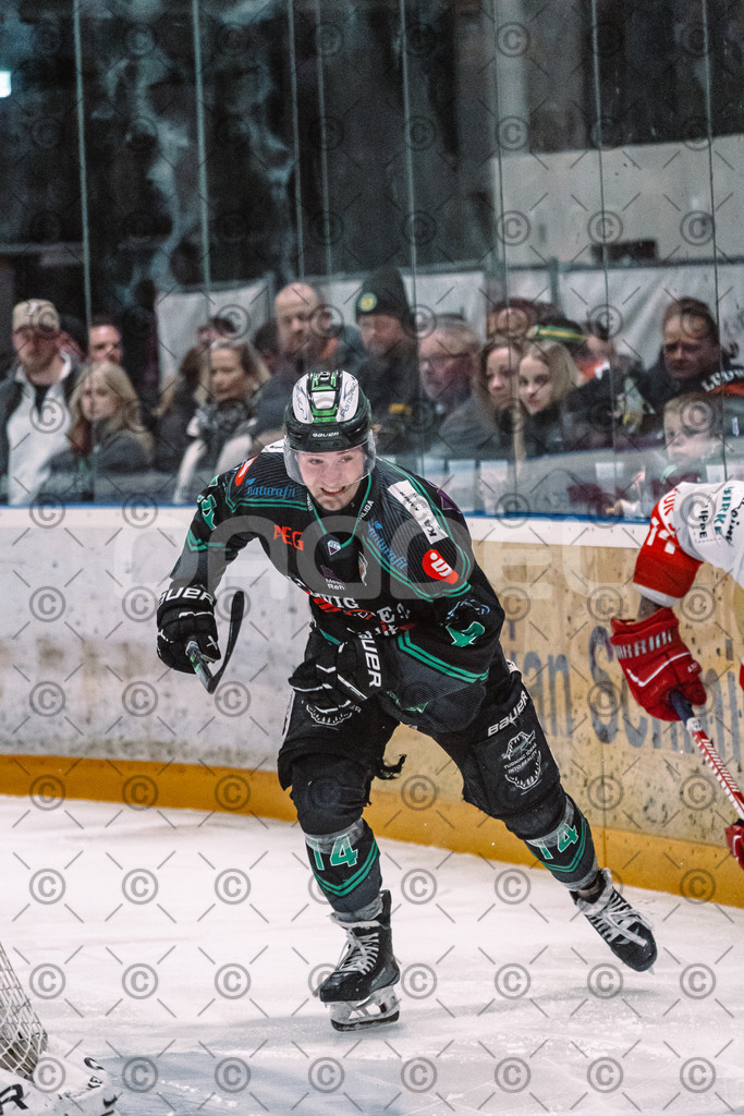 Alligators_vs_Selb_27_02_2026-7 | Höchstadt Alligators Fotogalerie: Eishockey-Action aus Franken. Professionelle Spielfotos, Portraits & Stadionbilder zum Download. Jetzt entdecken! - Realisiert mit Pictrs.com