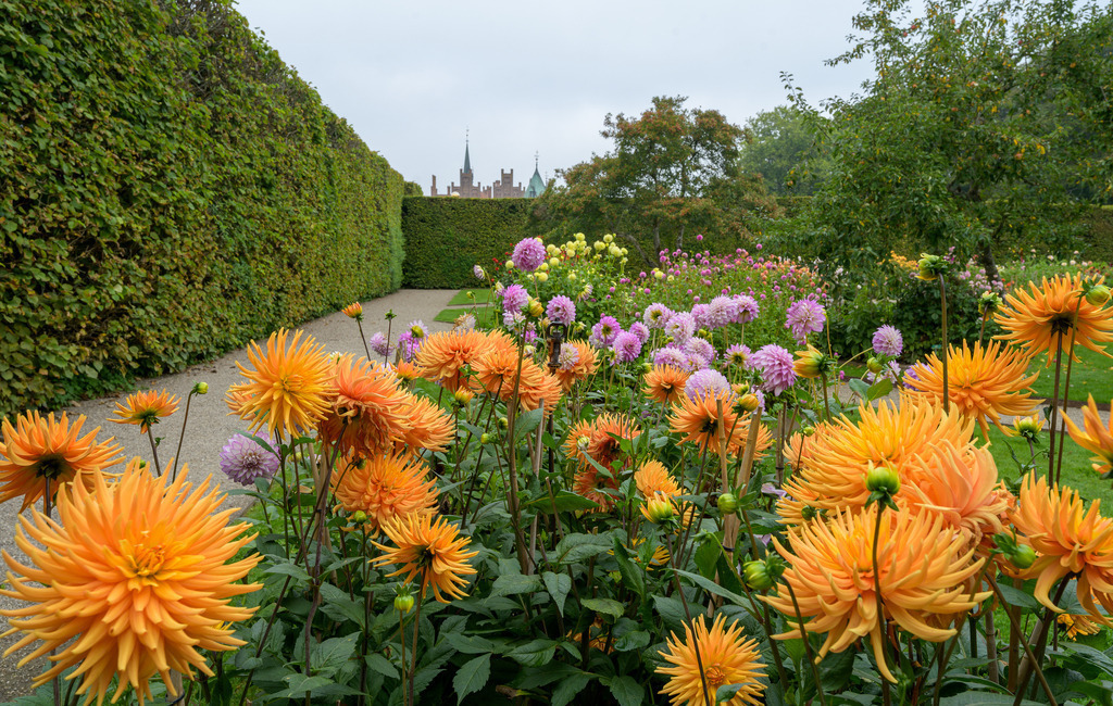 egeskov-dänemark-2023-263 | Im Park von Schloss Egeskov auf der dänischen Insel Fünen/Fyn. - Realisiert mit Pictrs.com
