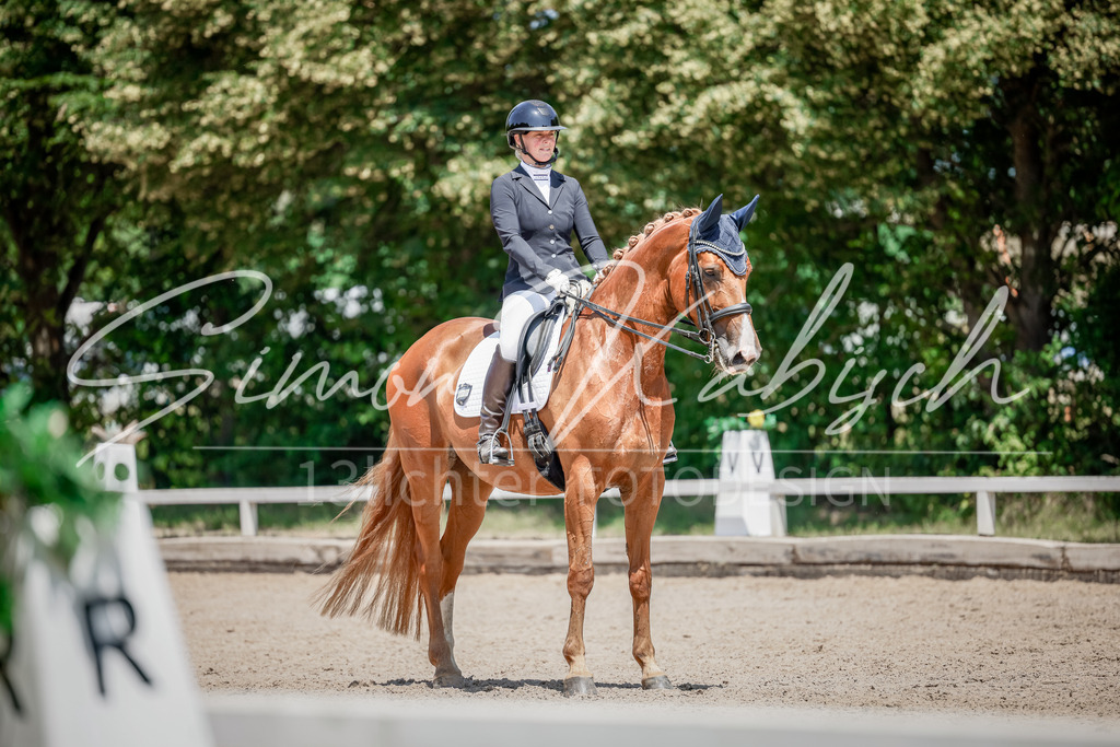 20250621-_3LI7643 | Tierfotografie Pferde, Hunde, Katzen, Haustiere.
Turnierfotografie Reitturniere, Reiten, Springreiten, Dressur in Hanau, dem Main-Kinzig-Kreis und dem Rhein-Main- Gebiet um Frankfurt