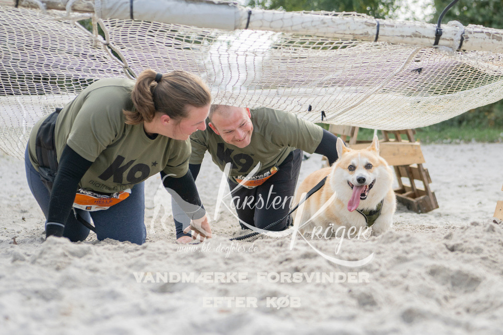 1332_ZZ97597 | kk-dogfotos