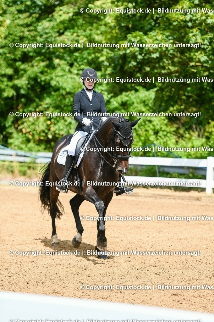 20230716_01_Dressurprüfung Kl.M_0057 | equistock