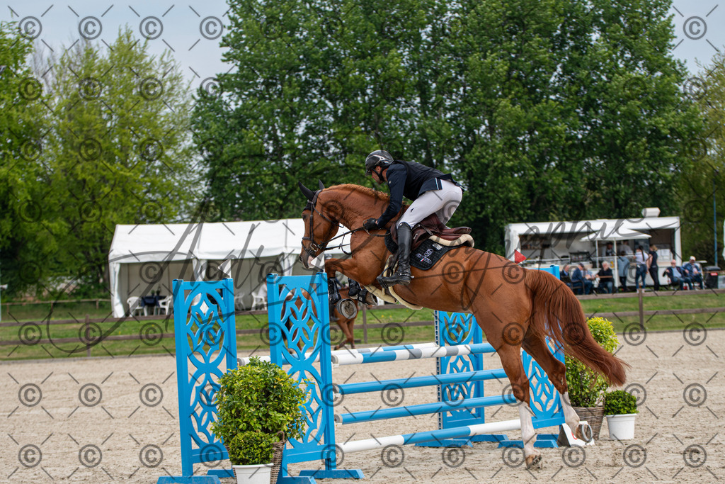 KPT_3023 | andre_photographic