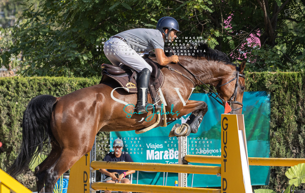 IMG_9252 | s-jay-photography - Realisiert mit Pictrs.com