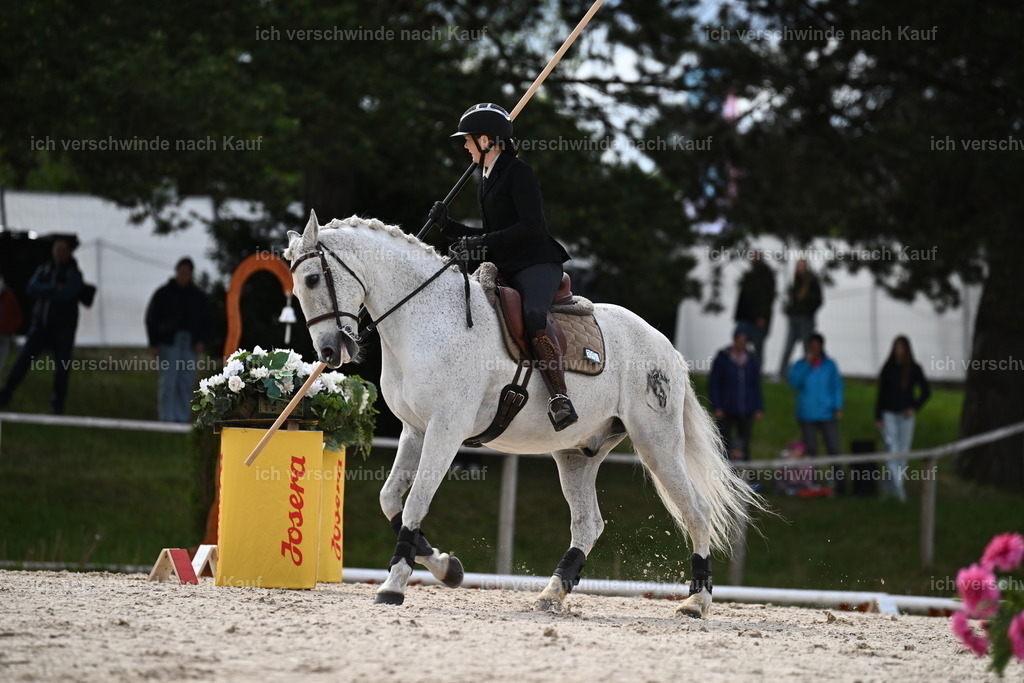 PI26_ST_Sara_Landvogt226_2329.JPG | working equitationturnier fotograf videograf stoibphotography marixx film working equitation deutschland reitsport turnierfotografie eventfotografie equestrian events
