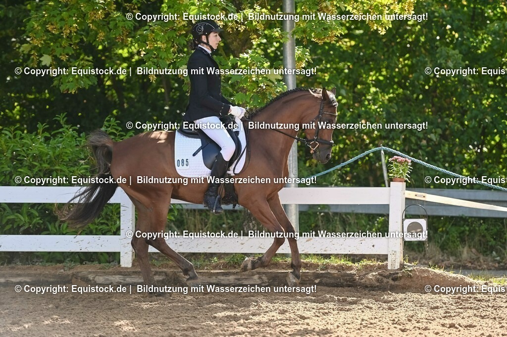 20230716_04_Dressurreiterprüfung Kl.A_0155 | equistock