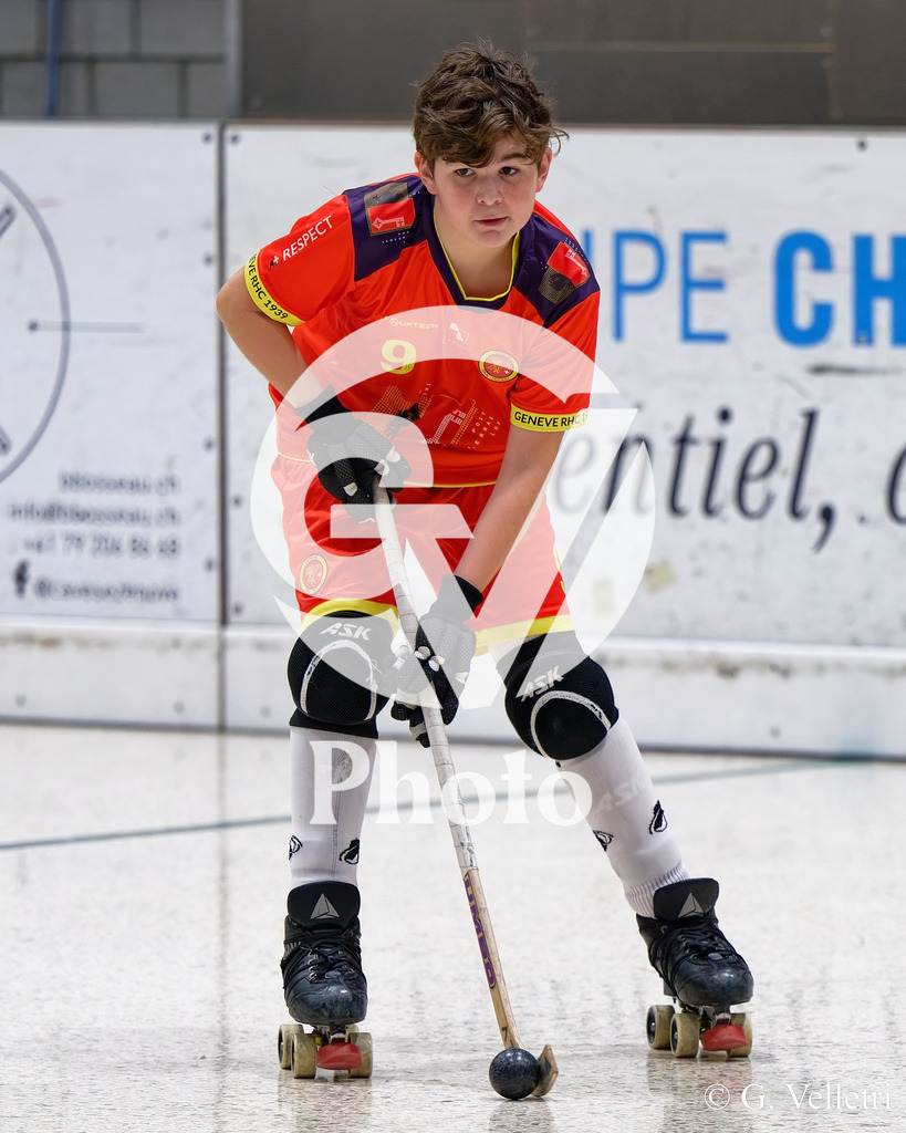 DZ8_3118 | Velletri Photo