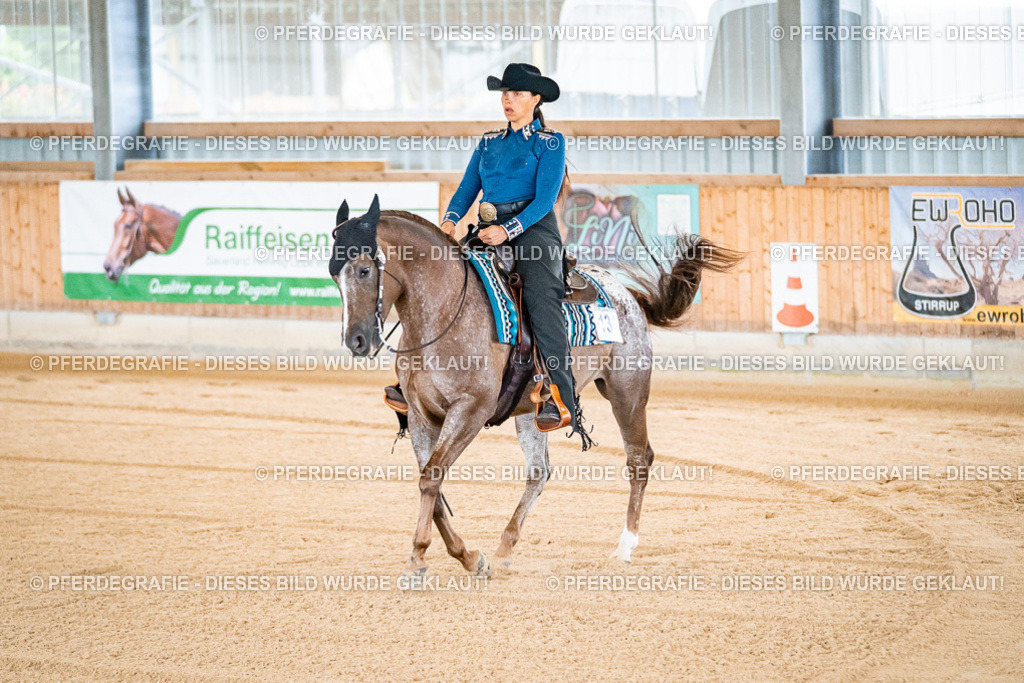 DSC01247 | Pferdegrafie