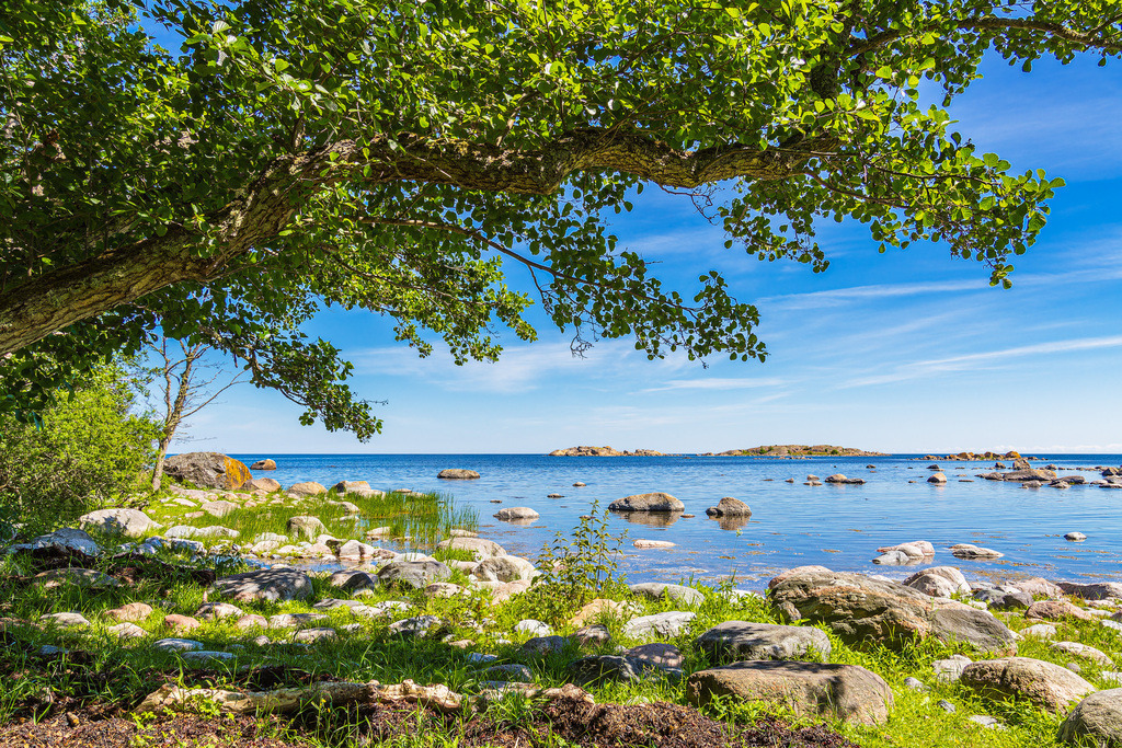 Ostseeküste mit Felsen und Baum auf der Insel Sladö in Schweden | Ostseeküste mit Felsen und Baum auf der Insel Sladö in Schweden.