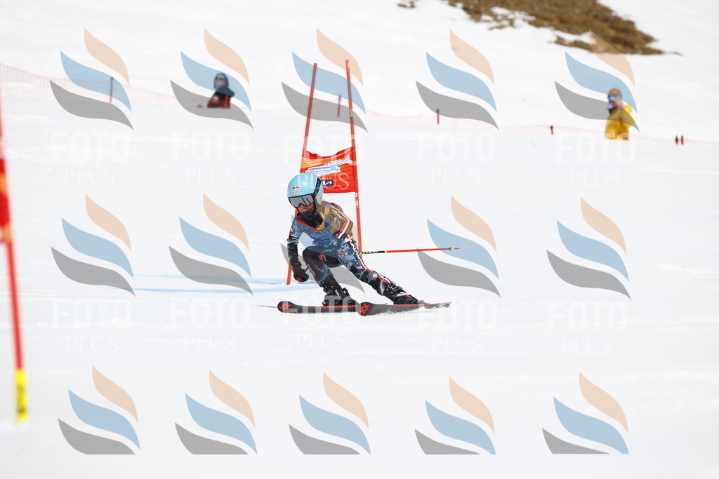 _U3G5611 | holidayphoto