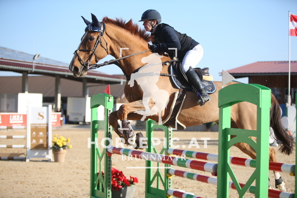 AS8V4756 | Willkommen bei Brunnmayr - Design & Fotografie – Ihrem Spezialisten für Reitturniere und Pferdeveranstaltungen in Oberösterreich, Salzburg und Bayern! Seit über 17 Jahren sind wir leidenschaftlich dabei.