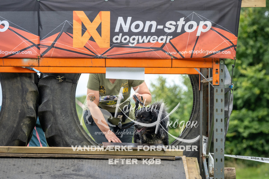 1236_ZZ94212 | kk-dogfotos