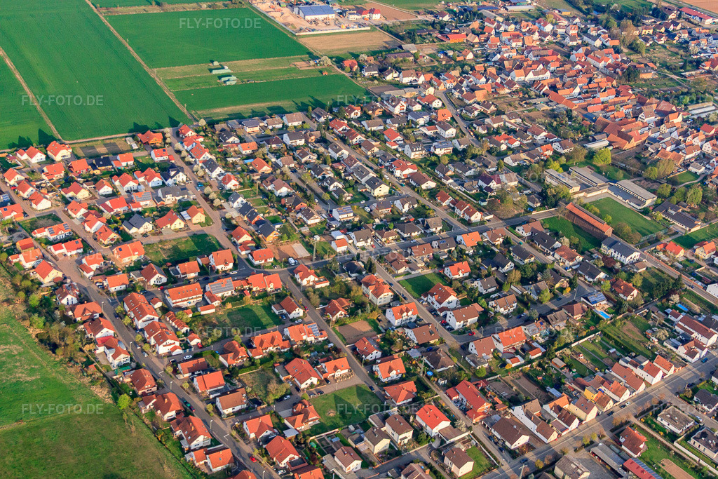 Luftbild: Haardtwiesen in Ottersheim bei Landau im Bundesland Rheinland-Pfalz in Deutschland. Foto: IMG_49905.jpg vom 13.04.2012 durch Werner Riehm/FLY-FOTO.de