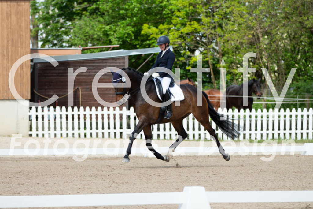 IMG_5642 | Creatify Fotografie