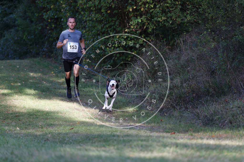 0L8A5076 | Hundefotografie, Tierfotograf, Pfotenfotografie, Fotoshooting Hund, Hunde Portrait, Hundesport, Hundeportraits, Heideshooting, Hunde, Sportfotograf, Hundefotograf, Turnierhundsport, THS,  - Realisiert mit Pictrs.com
