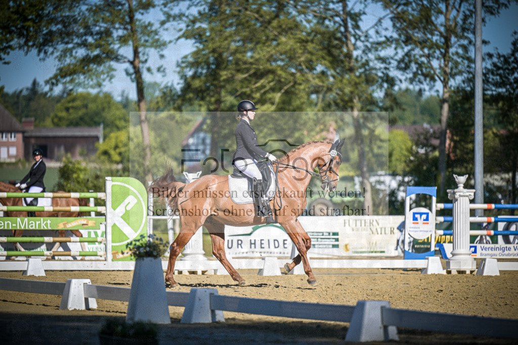 DOS_5459 | Entdecke hochwertige Reitturnierfotos von Foto Oger. Professionell, emotional und authentisch – jetzt Lieblingsmomente im Shop bestellen.Deutschlandweite Turnierfotografie. - Realisiert mit Pictrs.com