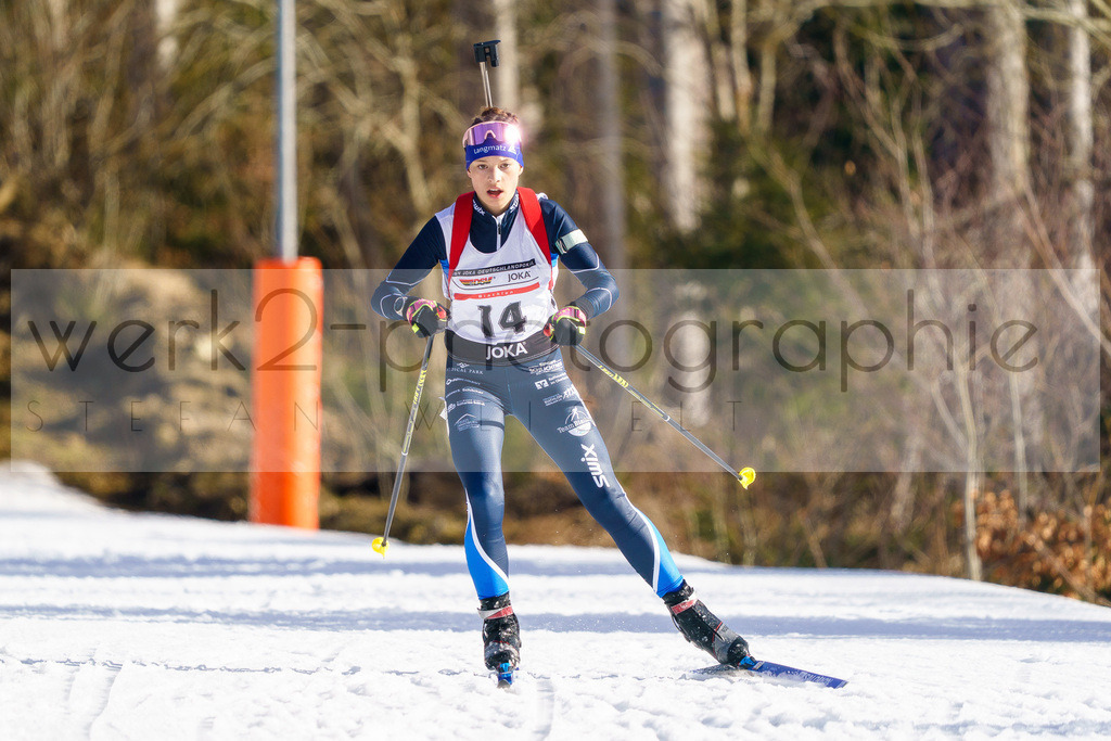 DP ARBER 9.-11.02.2024 | Unter schwierigen Bedingungen zauberte das OK ARBER-Team im Bayerischen Wald eine wettkampffähige Strecke im Arber Hohenzollern Skistadion.