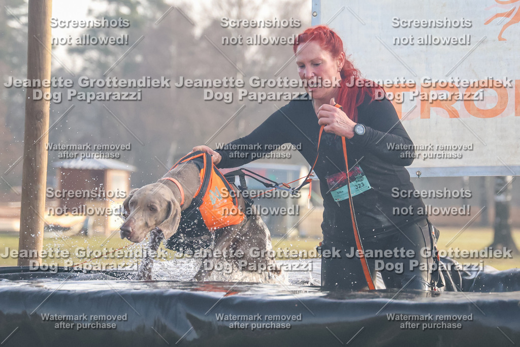 Dog Paparazzi - SD North Sa 830-900-189 | Dog Paparazzi Jeanette Grottendiek Fotografie & Videografie - Realisiert mit Pictrs.com