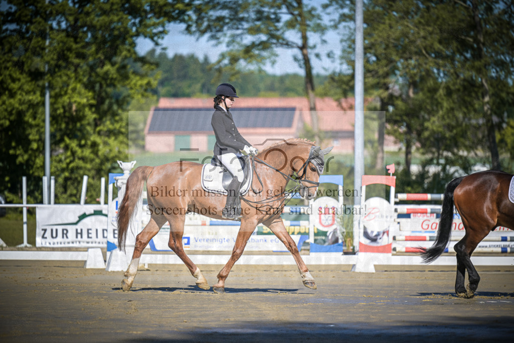 DOS_2896 | Entdecke hochwertige Reitturnierfotos von Foto Oger. Professionell, emotional und authentisch – jetzt Lieblingsmomente im Shop bestellen.Deutschlandweite Turnierfotografie. - Realisiert mit Pictrs.com