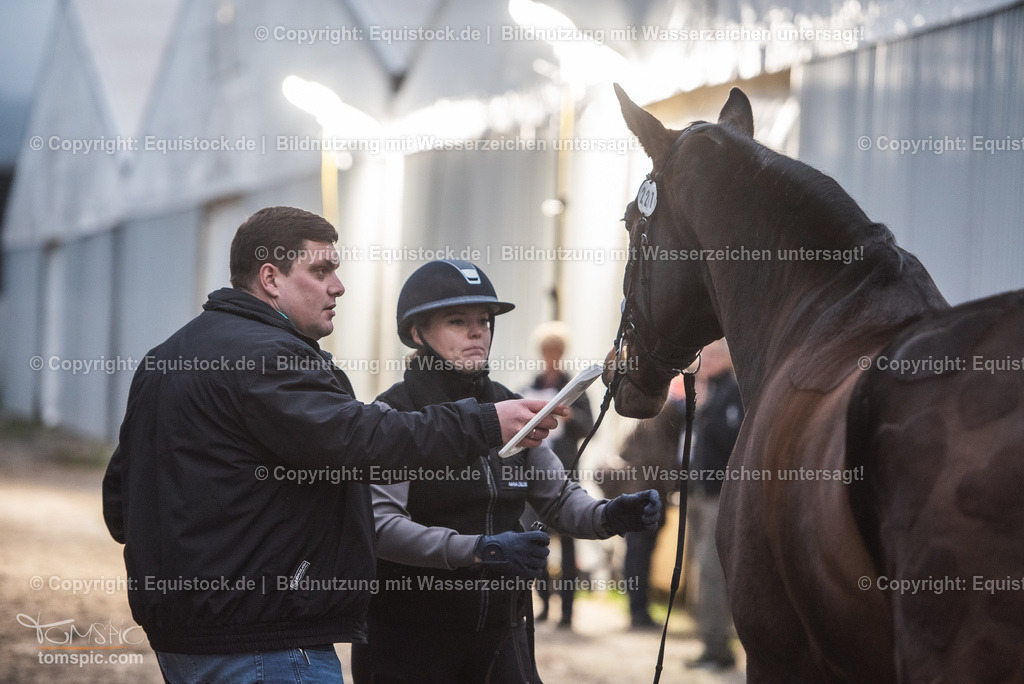 WEB_20241114_Vetcheck_TOMsPiC_0023 | Foto: Thomas Hartig