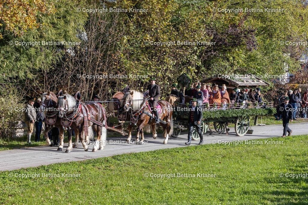 LBT24-359 | foto-bettina-krinner - Realisiert mit Pictrs.com
