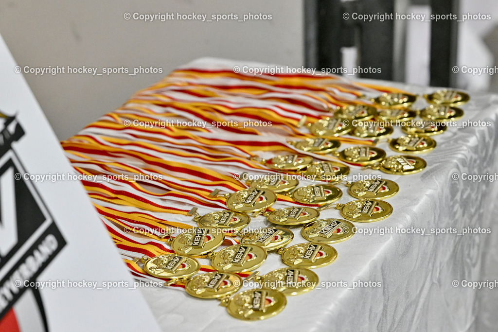 Lendhafen Seelöwen vs. Spartans Althofen | KEHV Goldmedaillen, Lendhafen Seelöwen vs. Spartans Althofen, Lendhafen Seelöwen vs. Spartans Althofen am 14.02.2025 in Ferlach (HTC Eishalle Ferlach), Austria, (Photo by Bernd Stefan)