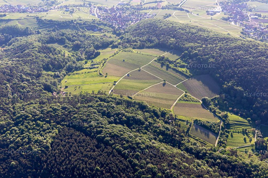 Luftbild: Wolfsteig in Pleisweiler-Oberhofen im Bundesland Rheinland-Pfalz in Deutschland. Foto: IMG_131443.jpg vom 14.05.2022 durch Werner Riehm/FLY-FOTO.de