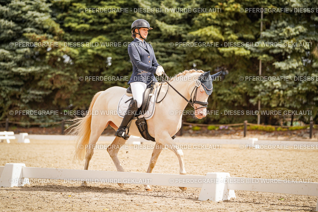 DSC01895 | Pferdegrafie