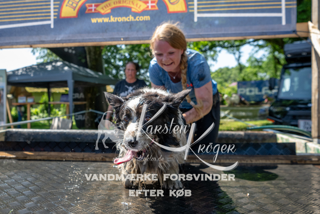 1245_ZZ92215 | kk-dogfotos