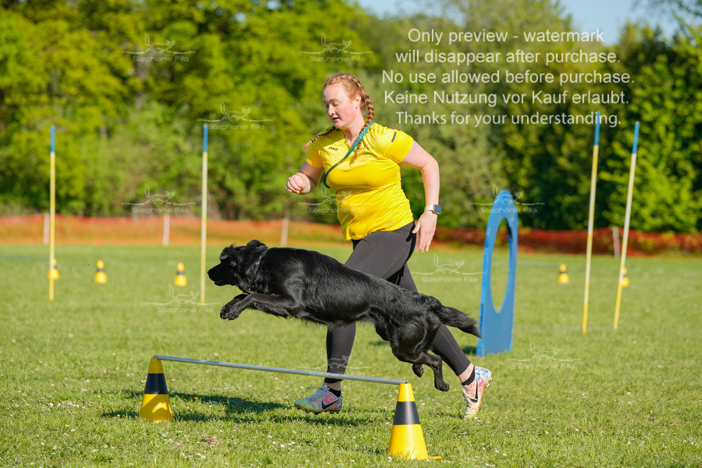 Sa_CSC-417 | stephaniefillaphotographie - Realisiert mit Pictrs.com