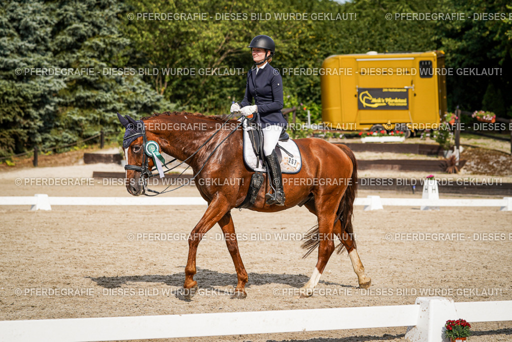 DSC07761 | Pferdegrafie