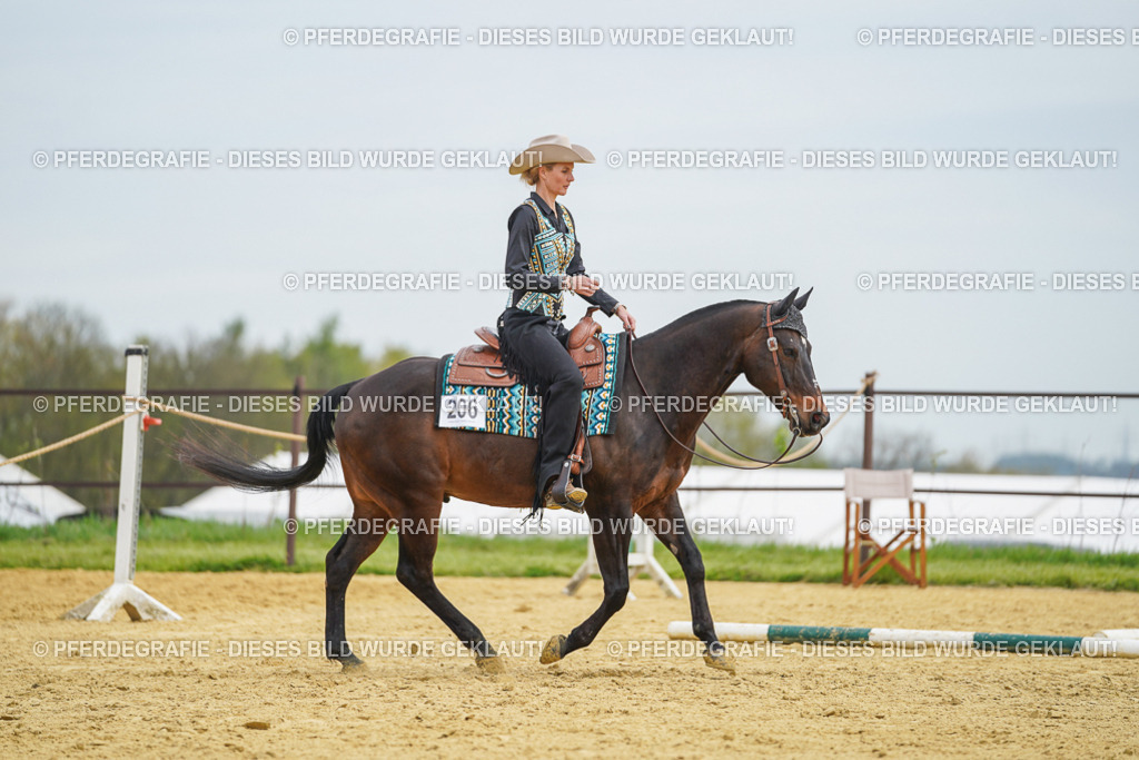 DSC03167 | Pferdegrafie