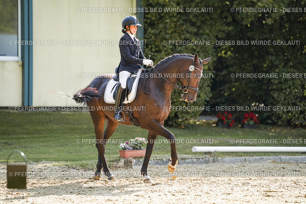 DSC06814 | Pferdegrafie