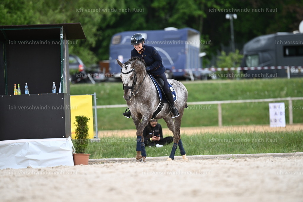 PI26_ST_Sara_Landvogt226_3303.JPG | working equitationturnier fotograf videograf stoibphotography marixx film working equitation deutschland reitsport turnierfotografie eventfotografie equestrian events