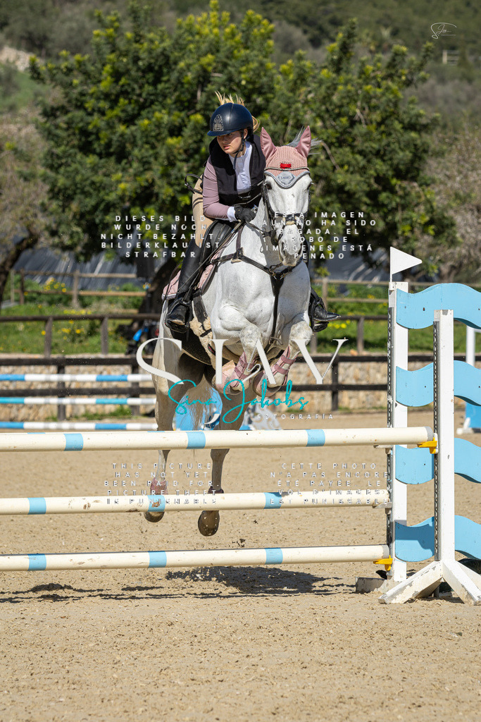 IMG_6540 | s-jay-photography - Realisiert mit Pictrs.com