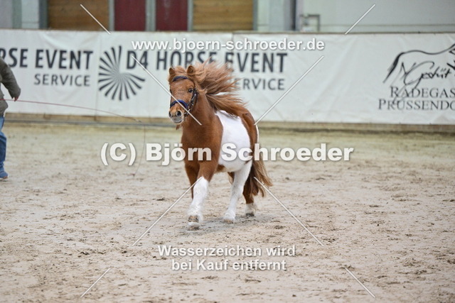 27_Paul - Waulkmill Macrory_963_0629 | Björn Schroeder Pferdefotografie