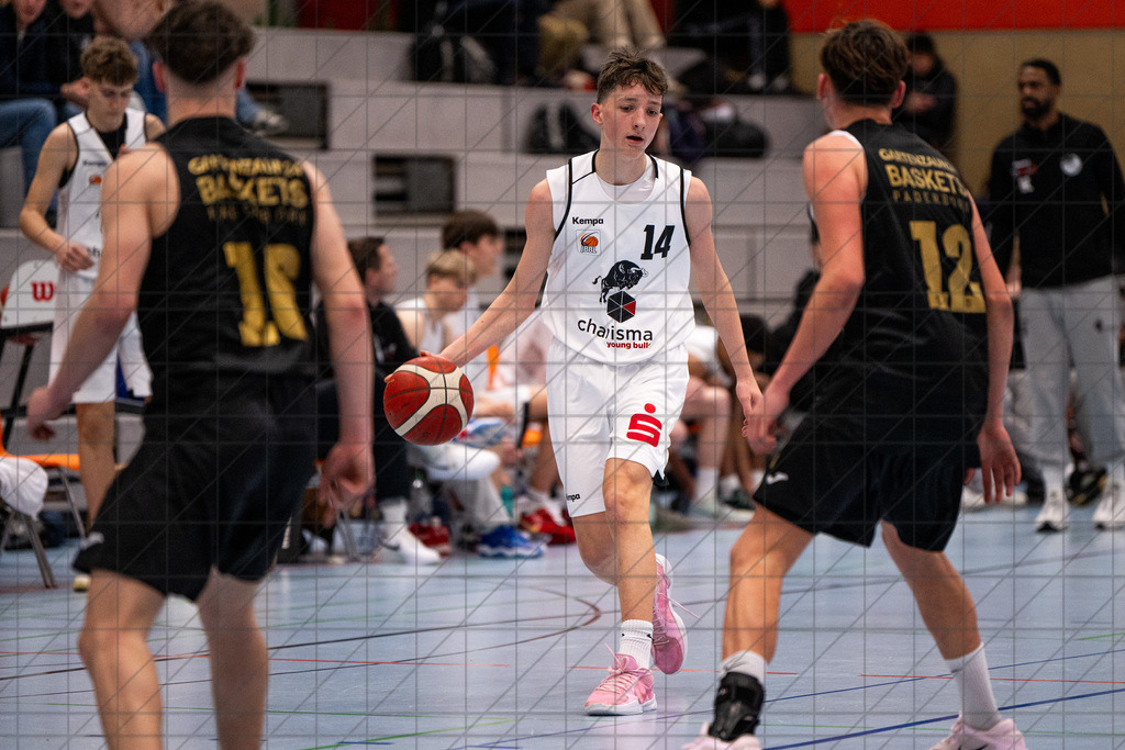 JBBL 24/25 | 26.01.2025 | Charisma Young Bulls vs. Gartenzaun24 Baskets Paderborn | JBBL 24/25 | 26.01.2025 | Charisma Young Bulls vs. Gartenzaun24 Baskets Paderborn - - - - - CREDIT, www.bullenfotos.de, Martin König, Hörner Weg 40, D-49078 Osnabrück, +4917663732967, Nutzung und Weitergabe nur zu den vereinbarten Zwecken. Presseanfragen an Urheber. Alle Rechte beim Urheber. - - - - - - Realisiert mit Pictrs.com