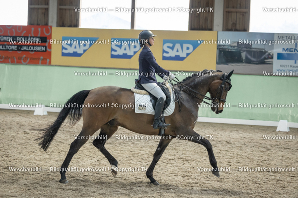 _D5A3404 | Emotionale Pferde- & People-Fotografie rund um Heidelberg, Leimen & Umgebung. Natürliche Fotos von Pferd, Mensch & Familie. Jetzt Termin sichern!