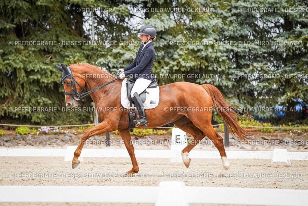 DSC04792 | Pferdegrafie