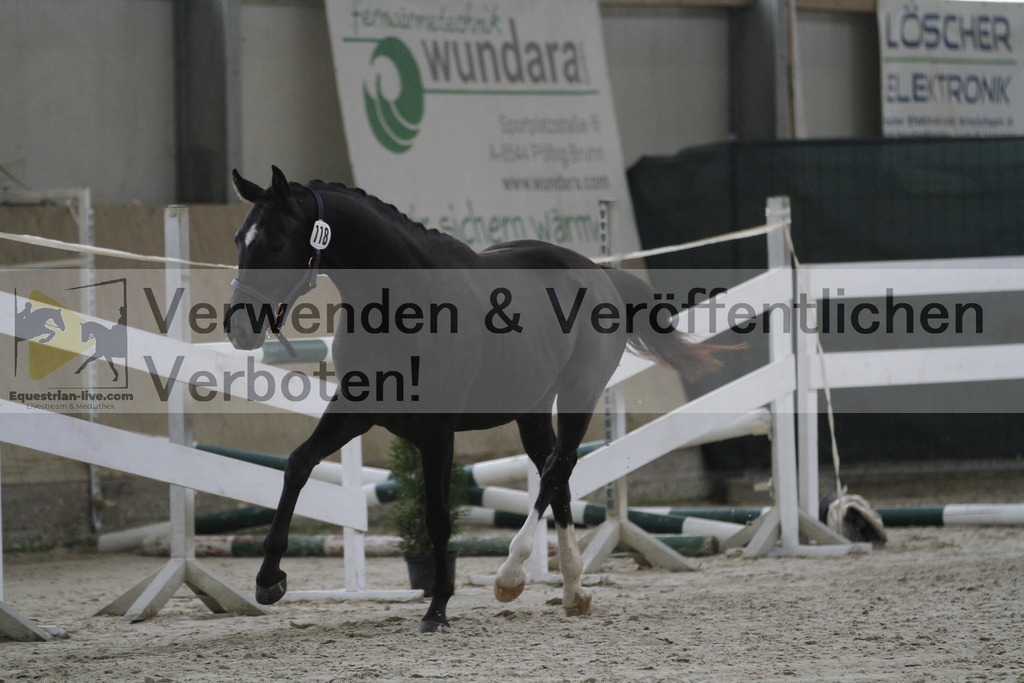 _MG_9332 | equestrian-live-com