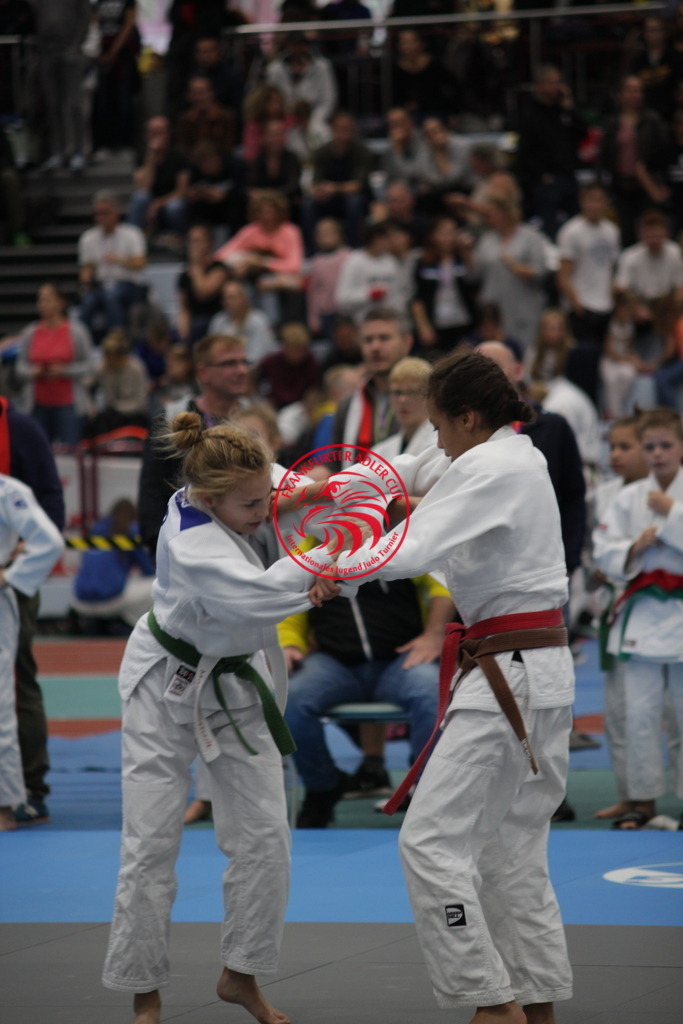 IMG_2536 | Fotos vom Adler Cup - Pictures from Adler Cup

Hier findet Ihr alle Eindrücke und großen Momente der Adler Cup Wochenenden. Here you will find all impressions and great moments of the Adler Cup weekends. - Realisiert mit Pictrs.com